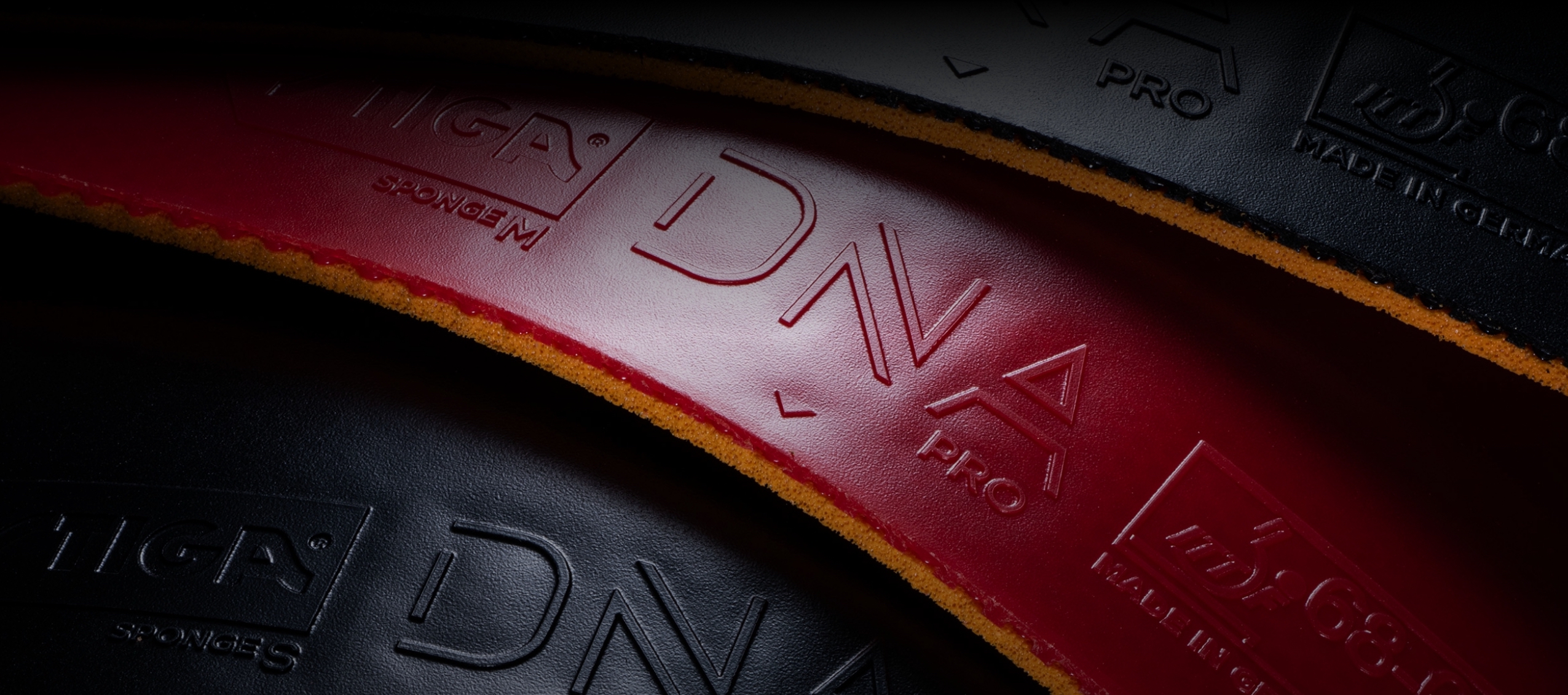 DNA | stiga